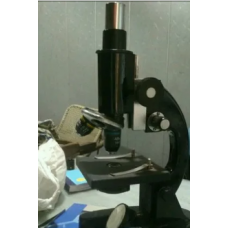 Microscope